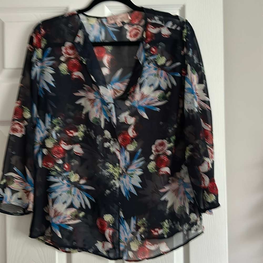 Sheer blouse